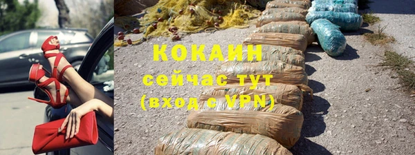 стаф Аркадак