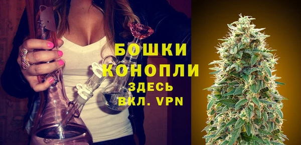 стаф Аркадак
