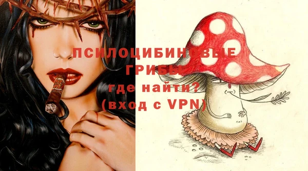 стаф Аркадак