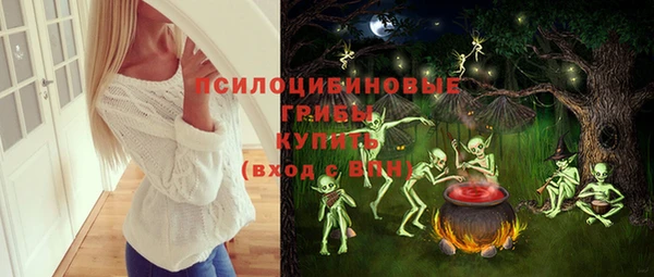 стаф Аркадак