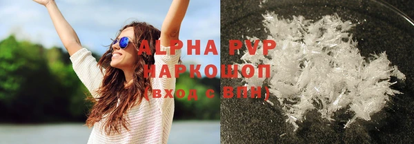 стаф Аркадак