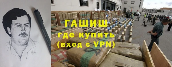 стаф Аркадак