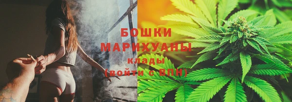 стаф Аркадак