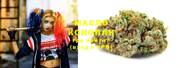 стаф Аркадак